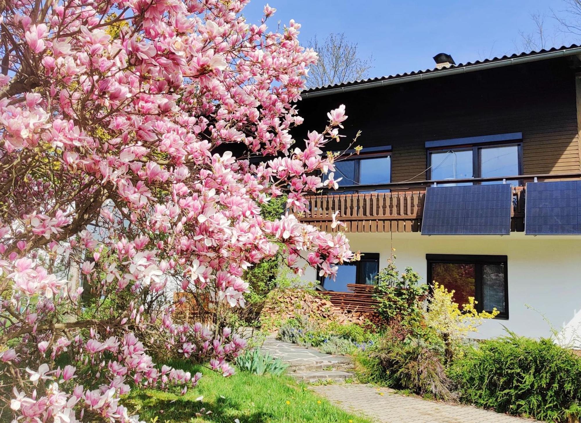 Wellness Apartment Keutschach Lakes Valley Keutschach am See Kültér fotó