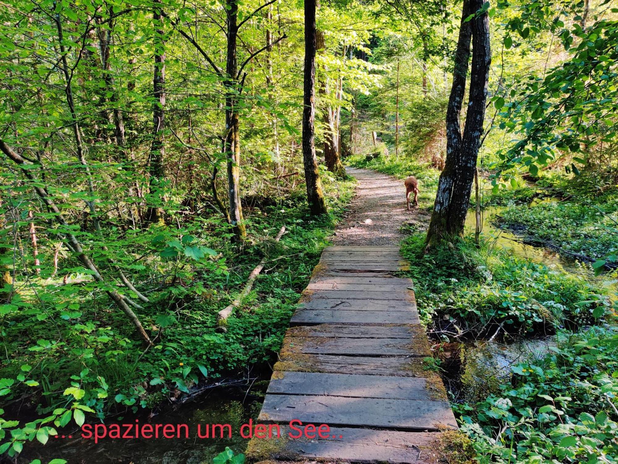 Wellness Apartment Keutschach Lakes Valley Keutschach am See Kültér fotó